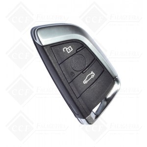 CARCAÇA (BW-SH-25A)-3 BT-P/BMW-HU 100R