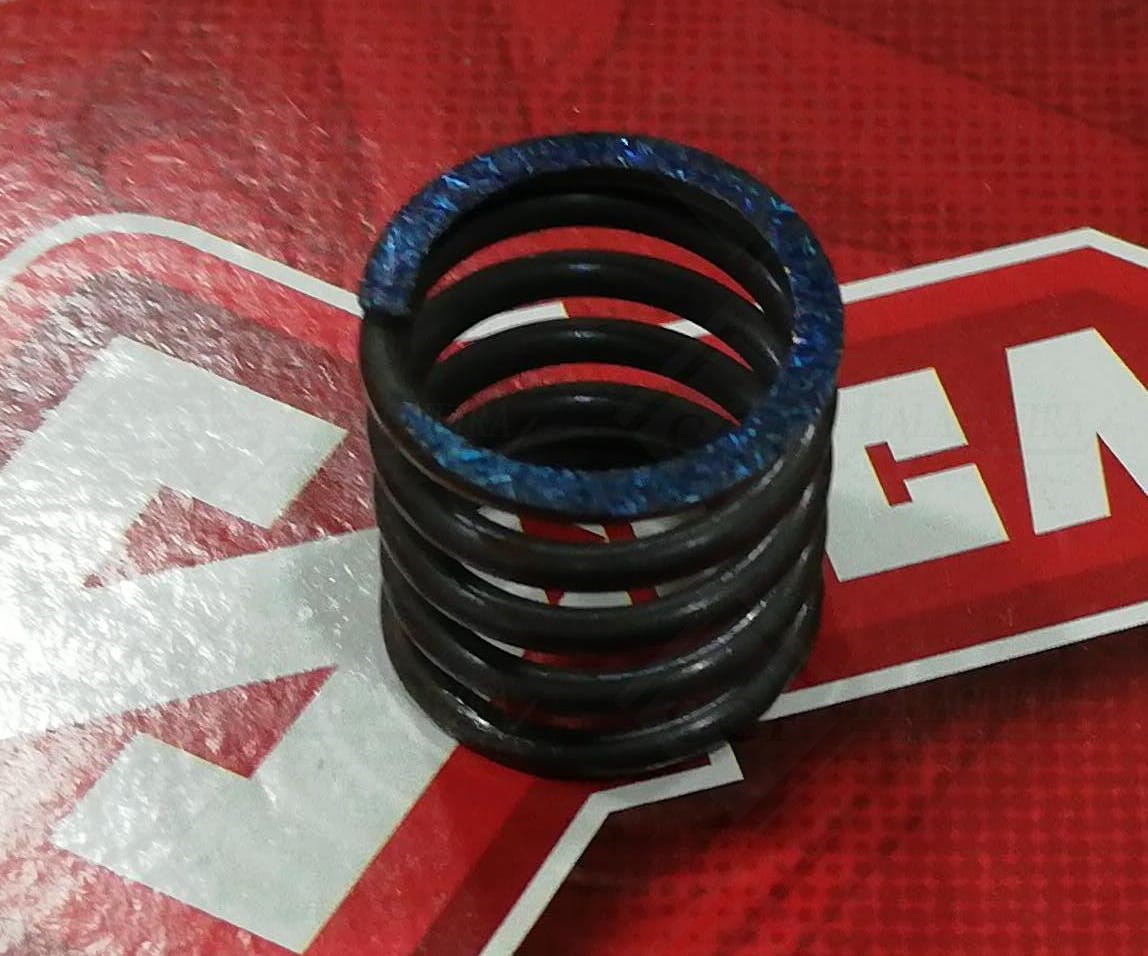 MOLA P/ MORDENTE BRAVO SUP - D901366ZZ